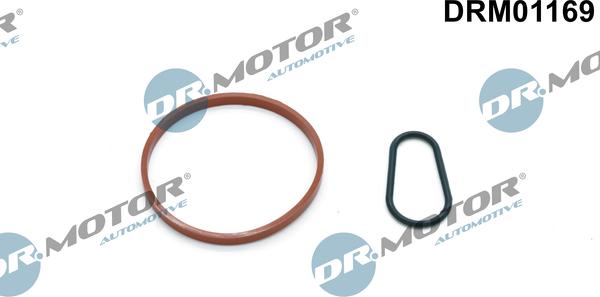 Dr.Motor Automotive DRM01169 - Комплект прокладок, вакуумний насос avtolavka.club