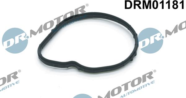 Dr.Motor Automotive DRM01181 - Прокладка, термостат avtolavka.club