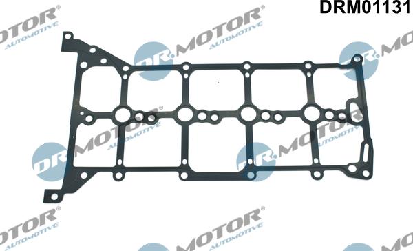 Dr.Motor Automotive DRM01131 - Прокладка, кришка головки циліндра avtolavka.club
