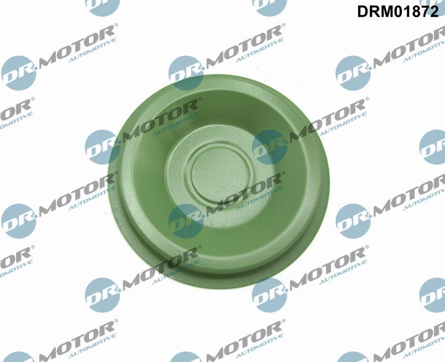 Dr.Motor Automotive DRM01872 - Фланця кришка, ступінчаста коробка передач avtolavka.club