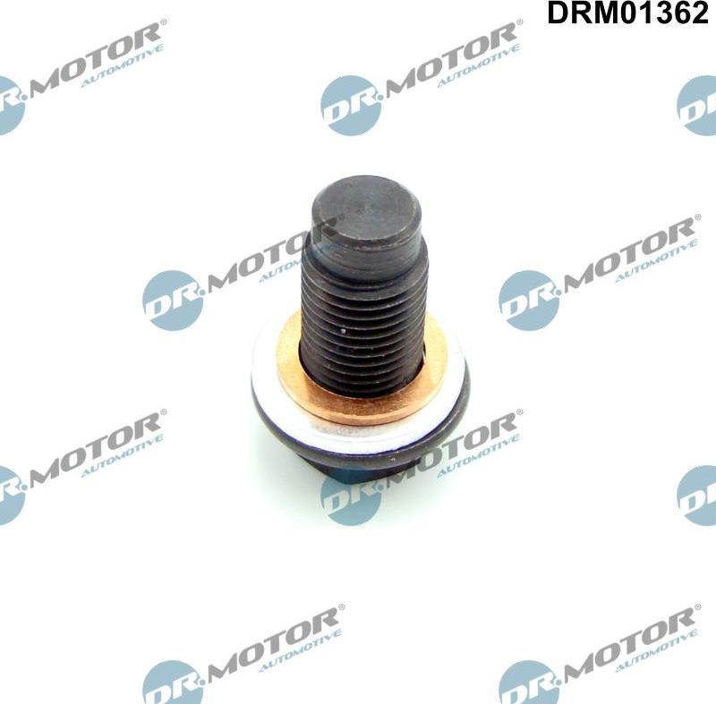Dr.Motor Automotive DRM01362 - Різьбова пробка, масляний піддон avtolavka.club