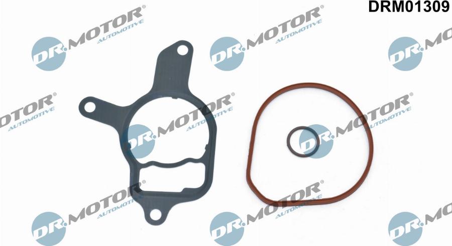 Dr.Motor Automotive DRM01309 - Комплект прокладок, вакуумний насос avtolavka.club