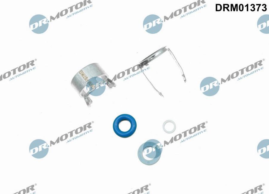 Dr.Motor Automotive DRM01373 - Ремкомплект, розпилювач avtolavka.club