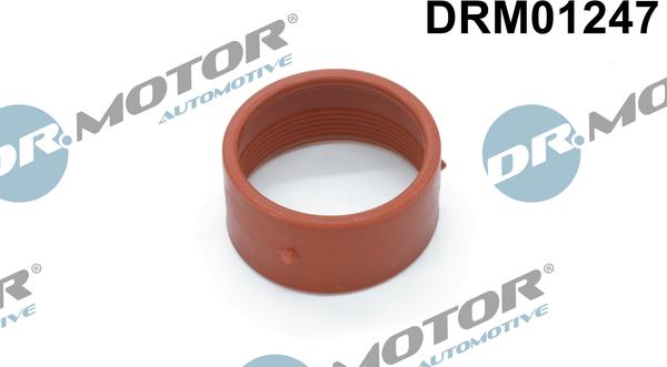 Dr.Motor Automotive DRM01247 - Кільце ущільнювача, трубка, що нагнітається avtolavka.club