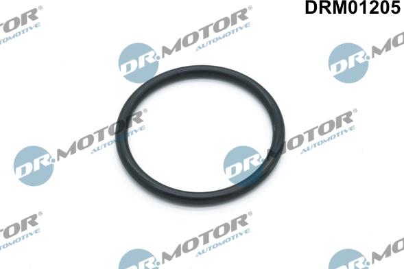 Dr.Motor Automotive DRM01205 - Прокладка, водяний насос avtolavka.club