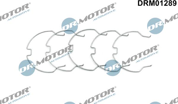 Dr.Motor Automotive DRM01289 - Утримуюча скоба, компресор avtolavka.club