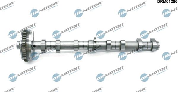 Dr.Motor Automotive DRM01280 - Шток avtolavka.club