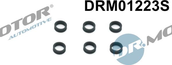 Dr.Motor Automotive DRM01223S - Прокладка, корпус форсунки avtolavka.club