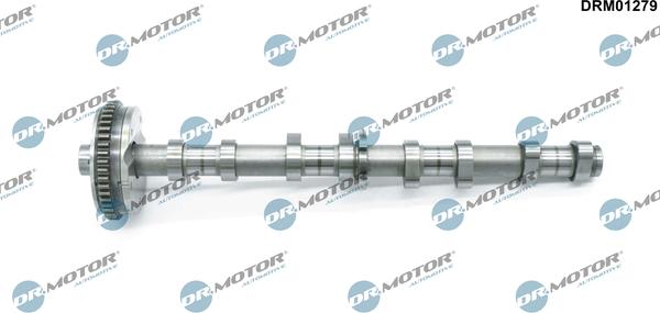 Dr.Motor Automotive DRM01279 - Шток avtolavka.club