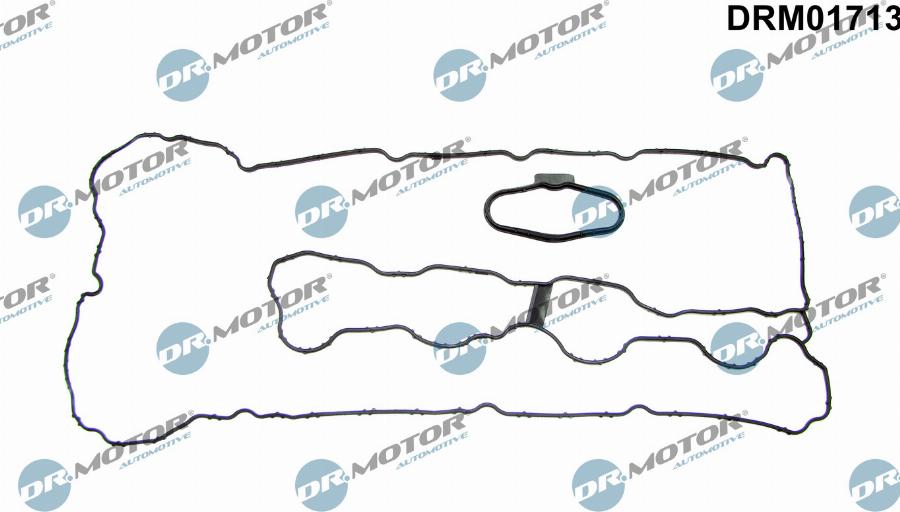 Dr.Motor Automotive DRM01713 - Прокладка, кришка головки циліндра avtolavka.club