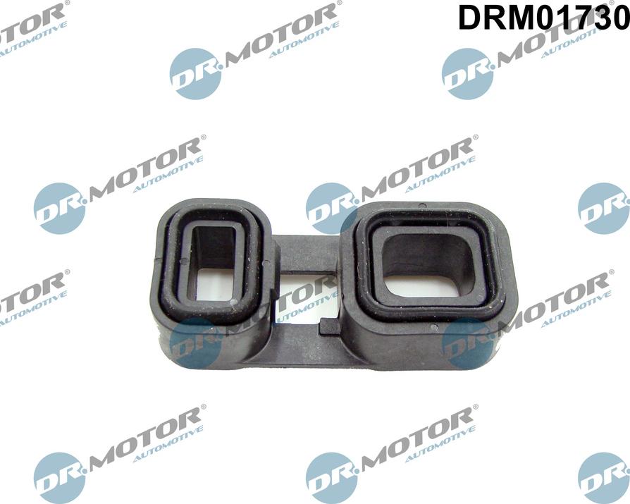 Dr.Motor Automotive DRM01730 - Прокладка, автоматична коробка avtolavka.club