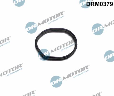 Dr.Motor Automotive DRM0379 - Прокладка, кришка картера рульового механізму avtolavka.club