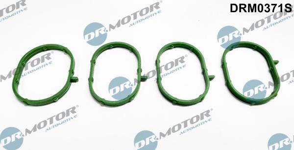 Dr.Motor Automotive DRM0371S - Комплект прокладок, впускний колектор avtolavka.club