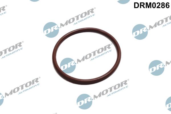 Dr.Motor Automotive DRM0286 - Прокладка, паливний насос avtolavka.club