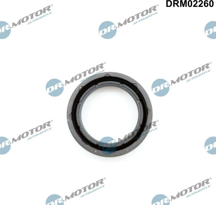 Dr.Motor Automotive DRM02260 - Кільце ущільнювача, шахта свічки avtolavka.club