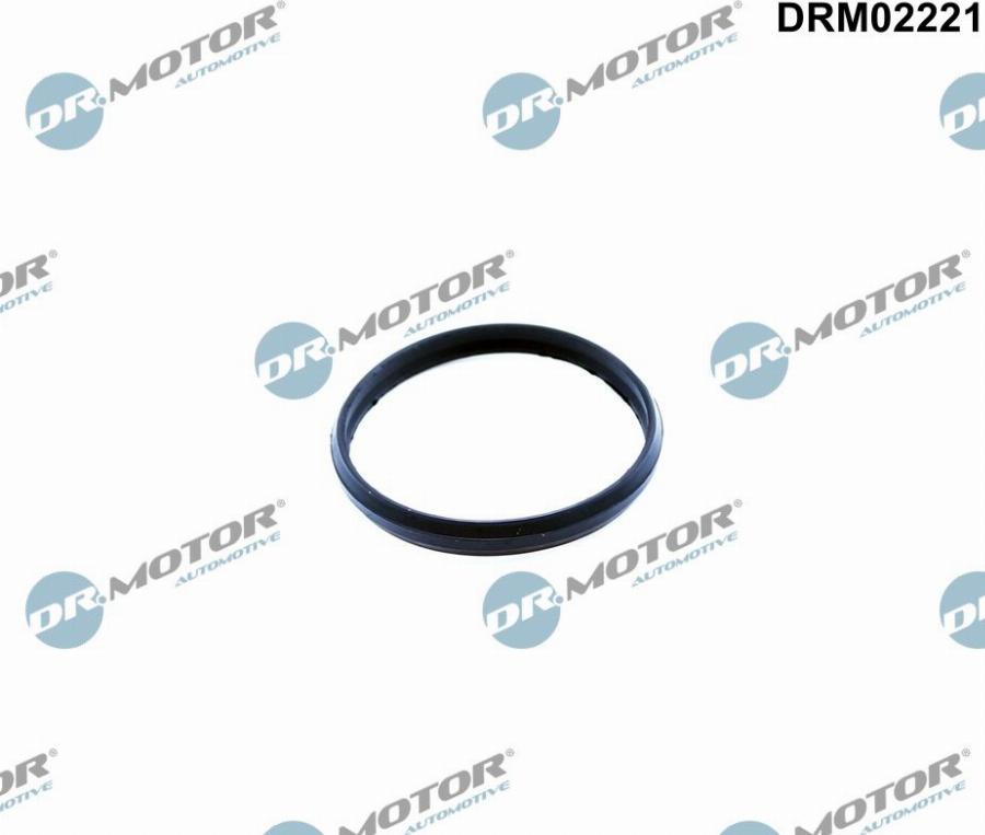 Dr.Motor Automotive DRM02221 - Прокладка, натяжний пристрій ланцюга приводу avtolavka.club
