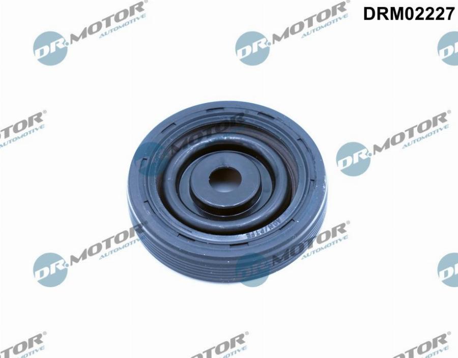 Dr.Motor Automotive DRM02227 - Ущільнене кільце, колінчастий вал avtolavka.club