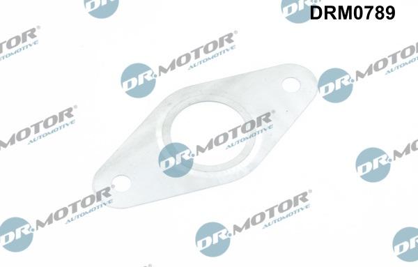 Dr.Motor Automotive DRM0789 - Прокладка, трубка клапана повернення ОГ avtolavka.club