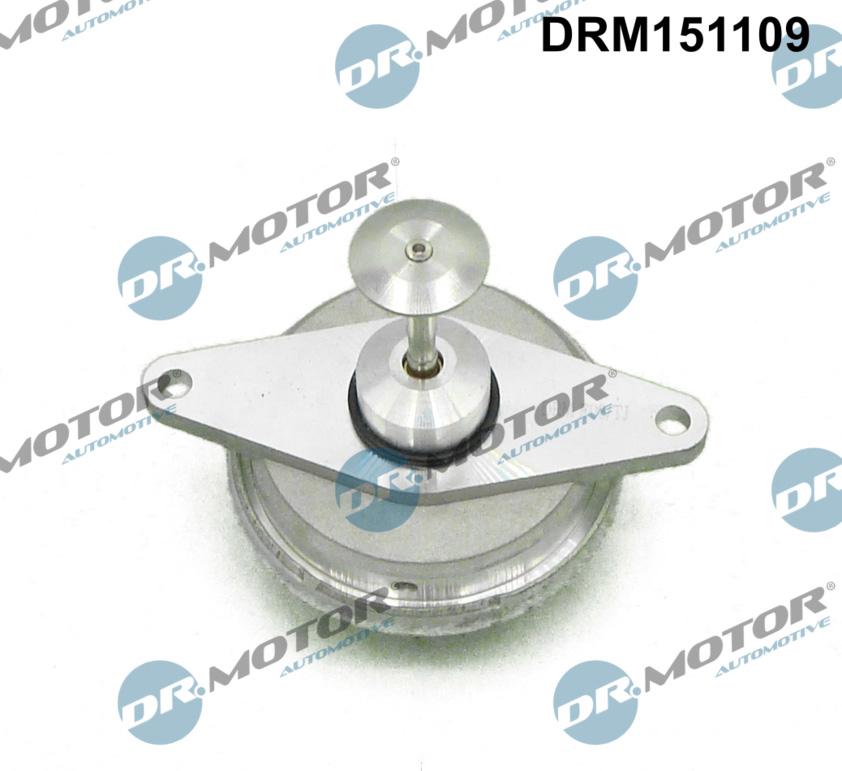 Dr.Motor Automotive DRM151109 - Клапан повернення ОГ avtolavka.club