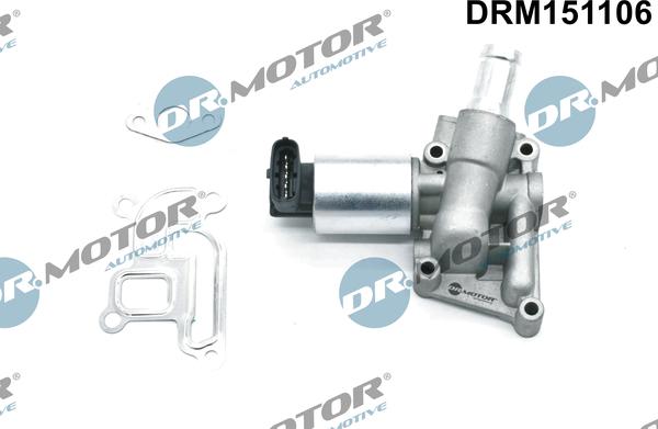 Dr.Motor Automotive DRM151106 - Клапан повернення ОГ avtolavka.club