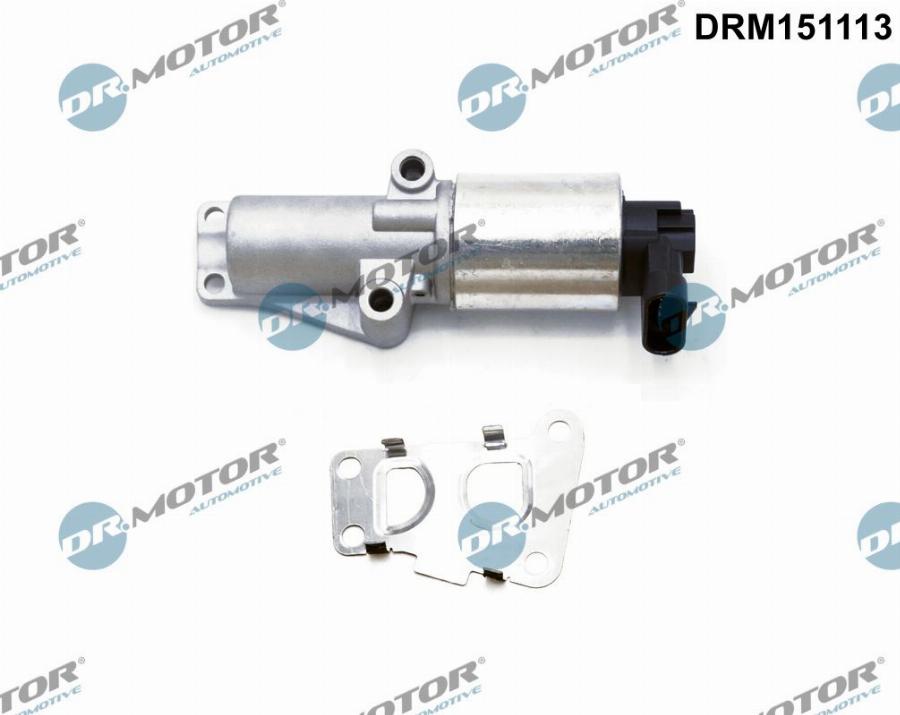 Dr.Motor Automotive DRM151113 - Клапан повернення ОГ avtolavka.club