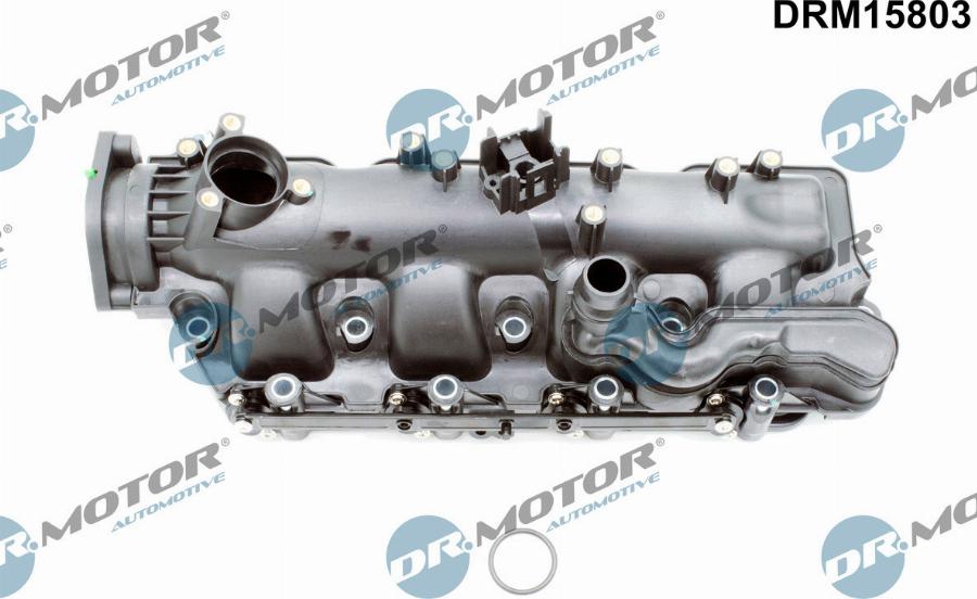 Dr.Motor Automotive DRM15803 - Модуль впускний труби avtolavka.club