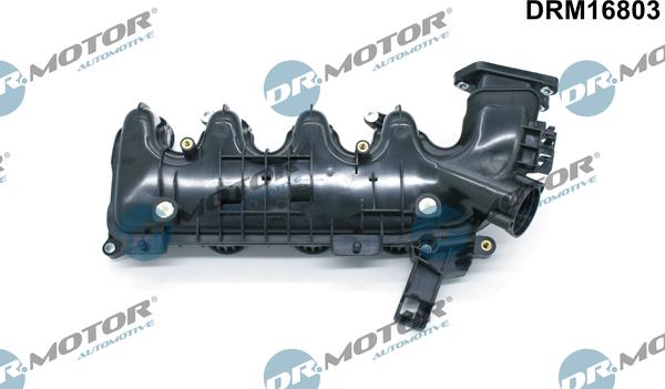 Dr.Motor Automotive DRM16803 - Модуль впускний труби avtolavka.club