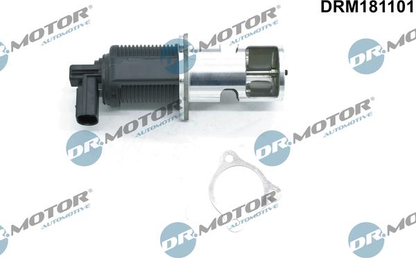 Dr.Motor Automotive DRM181101 - Клапан повернення ОГ avtolavka.club