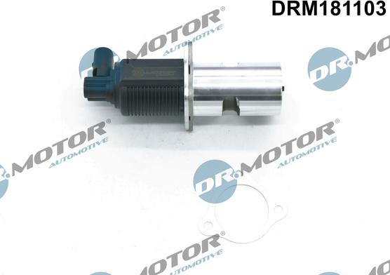 Dr.Motor Automotive DRM181103 - Клапан повернення ОГ avtolavka.club