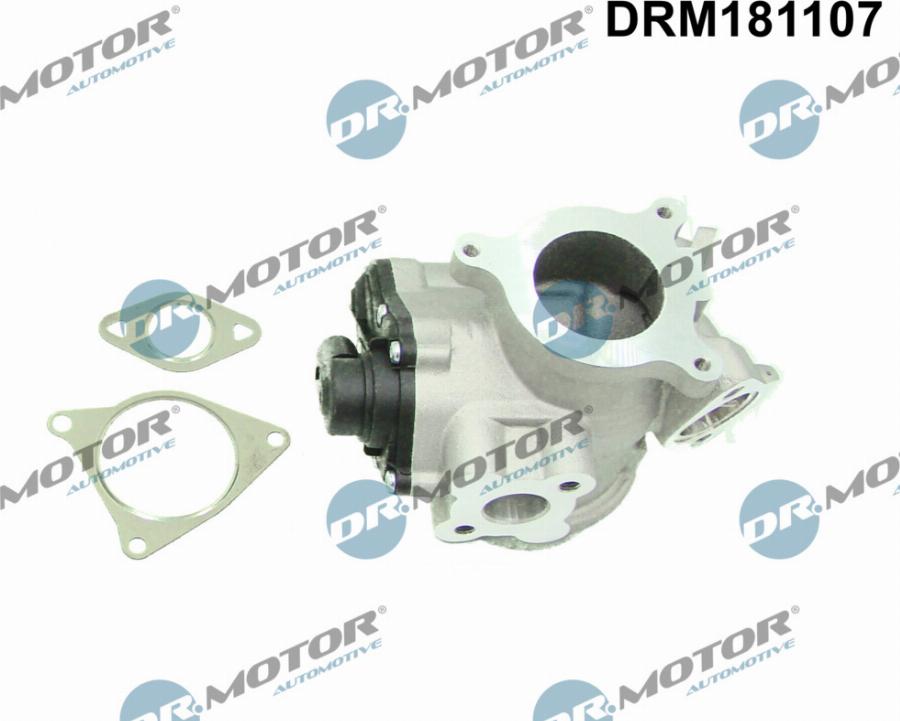 Dr.Motor Automotive DRM181107 - Клапан повернення ОГ avtolavka.club