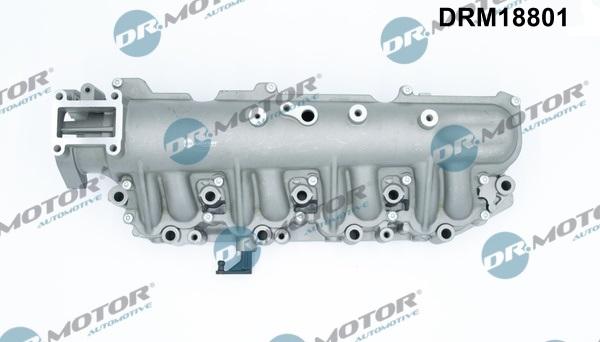 Dr.Motor Automotive DRM18801 - Модуль впускний труби avtolavka.club