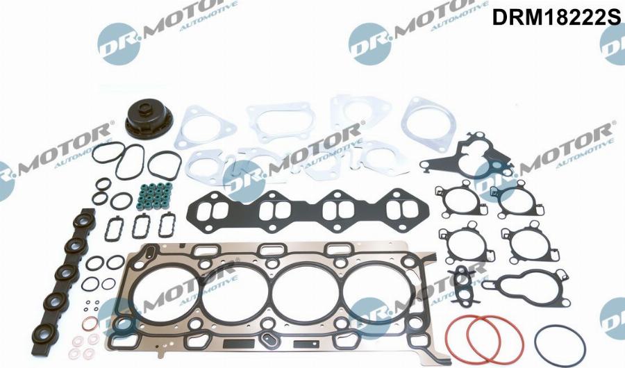 Dr.Motor Automotive DRM18222S - Комплект прокладок, двигун avtolavka.club