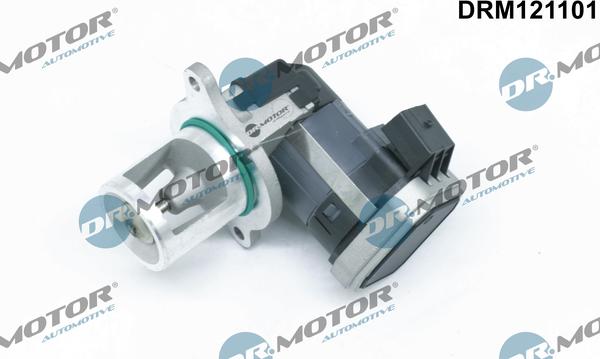 Dr.Motor Automotive DRM121101 - Клапан повернення ОГ avtolavka.club