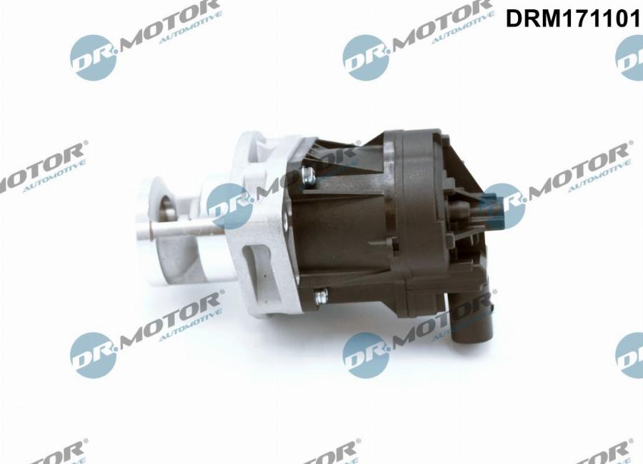 Dr.Motor Automotive DRM171101 - Клапан повернення ОГ avtolavka.club