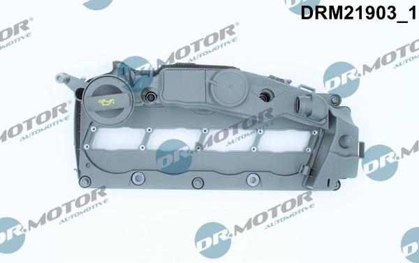 Dr.Motor Automotive DRM21903 - Кришка головки циліндра avtolavka.club