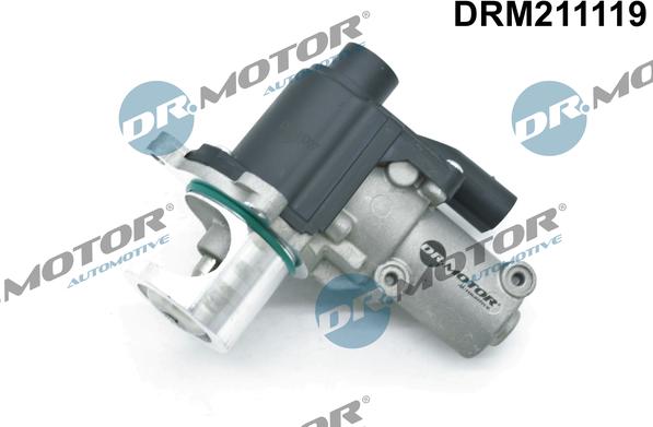 Dr.Motor Automotive DRM211119 - Клапан повернення ОГ avtolavka.club