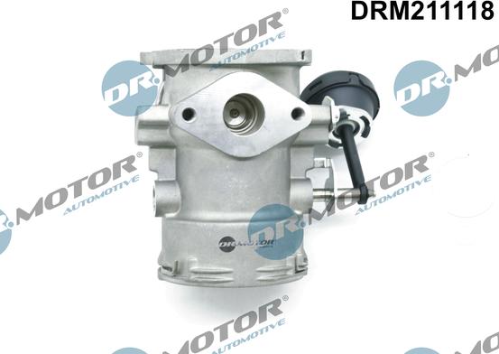 Dr.Motor Automotive DRM211118 - Клапан повернення ОГ avtolavka.club