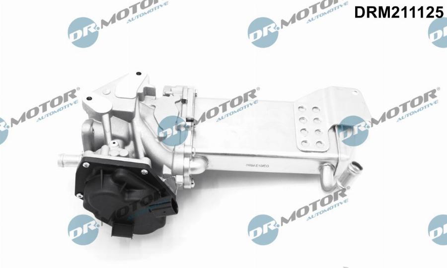 Dr.Motor Automotive DRM211125 - Клапан повернення ОГ avtolavka.club