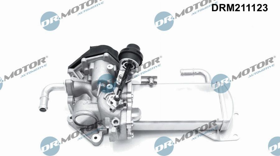 Dr.Motor Automotive DRM211123 - Клапан повернення ОГ avtolavka.club