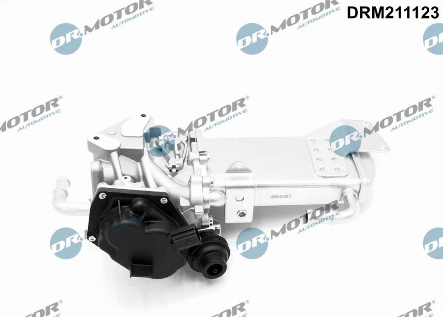 Dr.Motor Automotive DRM211123 - Клапан повернення ОГ avtolavka.club