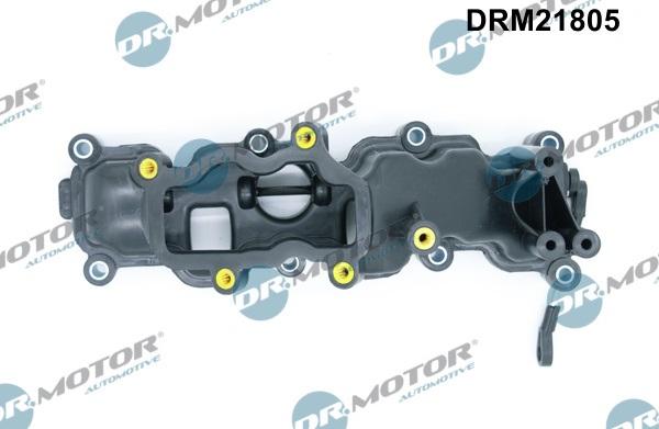 Dr.Motor Automotive DRM21805 - Модуль впускний труби avtolavka.club