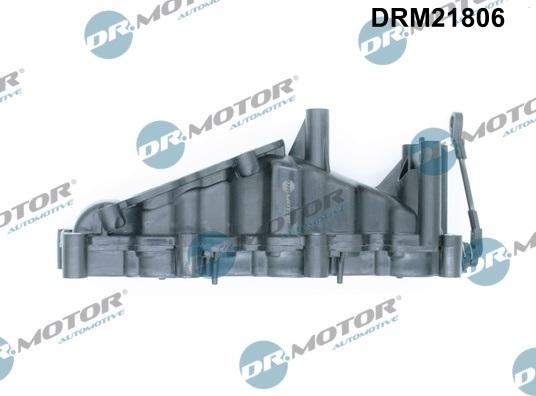 Dr.Motor Automotive DRM21806 - Модуль впускний труби avtolavka.club