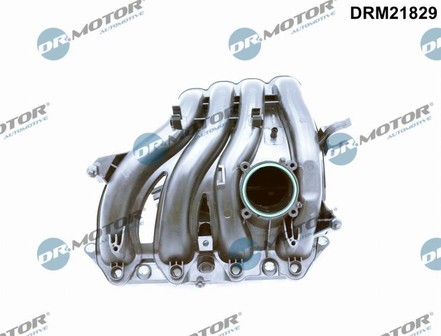 Dr.Motor Automotive DRM21829 - Модуль впускний труби avtolavka.club