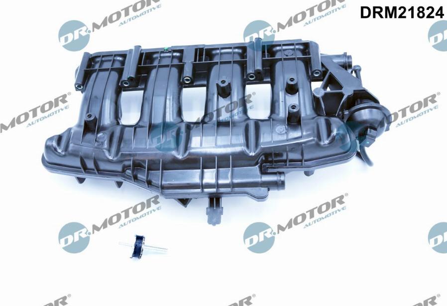 Dr.Motor Automotive DRM21824 - Модуль впускний труби avtolavka.club