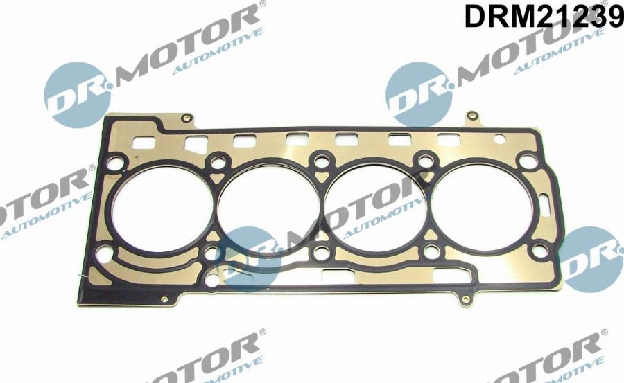 Dr.Motor Automotive DRM21239 - Прокладка, головка циліндра avtolavka.club