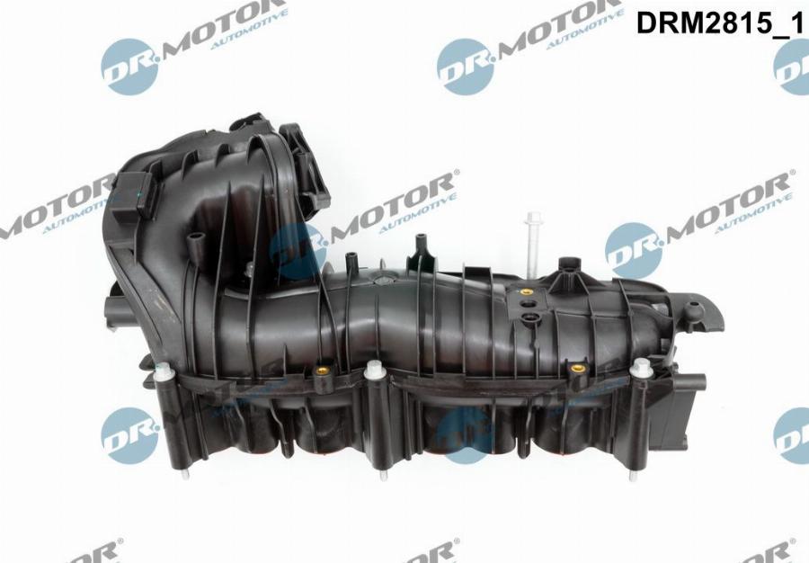 Dr.Motor Automotive DRM2815 - Модуль впускний труби avtolavka.club