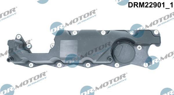 Dr.Motor Automotive DRM22901 - Кришка головки циліндра avtolavka.club