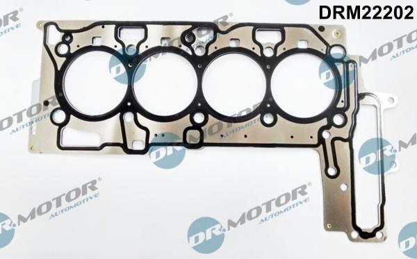 Dr.Motor Automotive DRM22202 - Прокладка, головка циліндра avtolavka.club