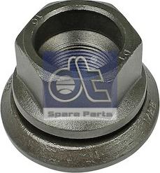 DT Spare Parts 2.65081 - Гайка кріплення колеса avtolavka.club