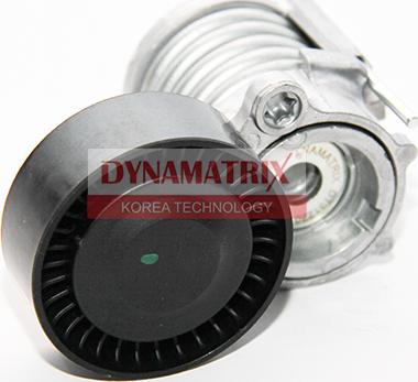 Dynamatrix DT31220 - Паразитний / провідний ролик, поліклиновий ремінь avtolavka.club